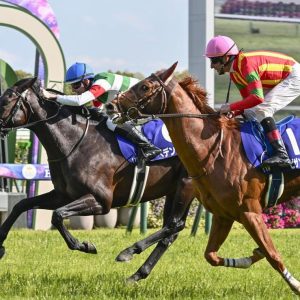 Tenno Sho