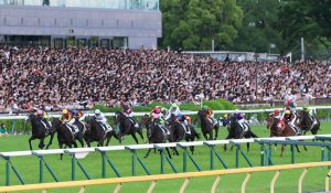 horse2-0601