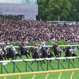 horse2-0601